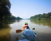 A PET Kalózok naponta egy tonna műanyagtól mentesítették a Tisza-tavat