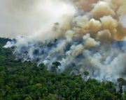 Több szén-dioxidot bocsátanak ki az Amazonas erdei, mint amennyit elnyelnek