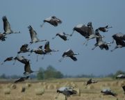 AM: a Natura 2000 területeket népszerűsíti a Hortobágyi Nemzeti Park fejlesztése