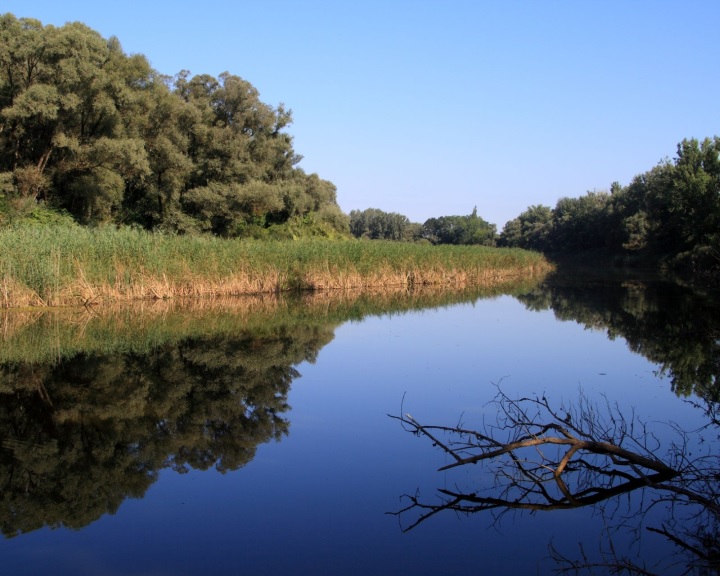 A Mecsekerdő Zrt. aktívan védi és kutatja a vizes élőhelyeket