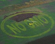 Magyarország vezetheti be elsőként az új uniós GMO-szabályokat