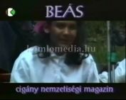 BEÁS Magazin - testületi-ülés