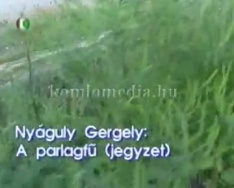 A parlagfű (jegyzet)