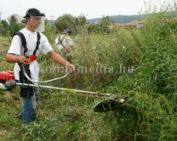 Félévértékelő a Komlói Városgondnokság munkájáról (Bogyai László)