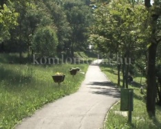 Halőrt keres Sikondára a Komlói Bányász Horgászegyesület (Bugyi Sándor)